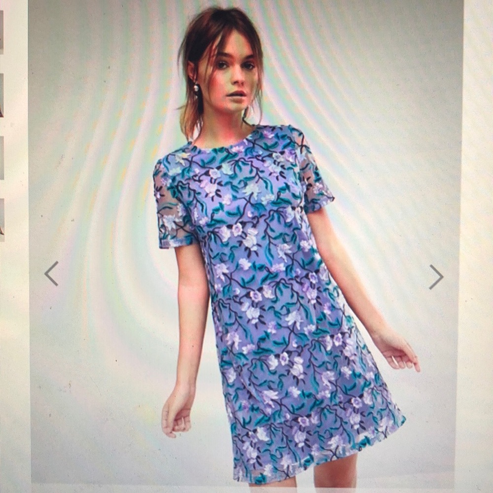 Asos Dolly & Delicious embroidered shift dress